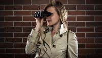 The Lady Detective