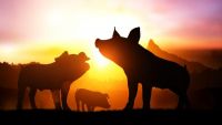 Orwell and the Fight for Animal Farm
