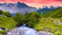 Nature Essays