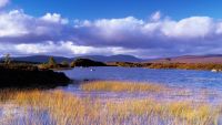 Evoking Setting and Place in Fiction