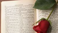 Romeo and Juliet-Words, Words, Words