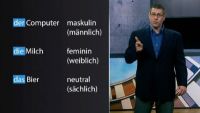 Definite Articles, Gender, and Nouns