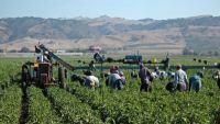 Fighting Modern Slavery