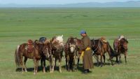 Eastern European/Central Asian Cultures