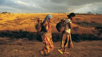 Sub-Saharan African Cultures