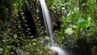 South America's Lost Cradle of Civilization