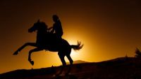 The Origins of Eurasian Steppe Nomadism