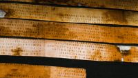 Etruscan Language and Literature