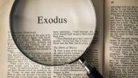 The Exodus-Did It Happen?