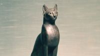 Animal Mummies