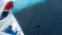 Basics of Polar Photography