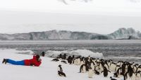 Photographing Polar Landscapes