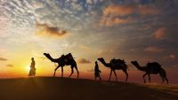 Cultures of the Ancient Near East