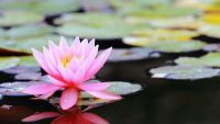 Mystics, Buddhists, and Zoroastrians