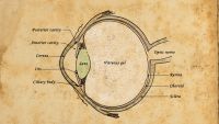Cairo, al-Haytham, and the Book of Optics