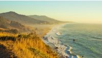 Late Period Cultures of the Pacific Coast