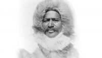 Arctic Feats and Fates