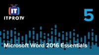 Document Views and Zoom
