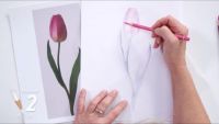 Make It: Tulip