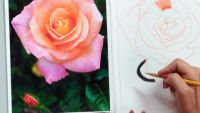 Blurring and Blending