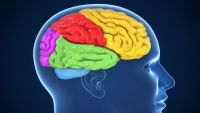 Are Emotions "in" the Mind?