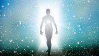 Are Persons Just Bodies?