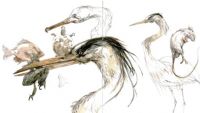 Module 3 Lesson 4: Sketch Collecting