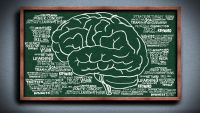 Why Study Logic?
