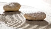 Stoicism-Rationality and Acceptance