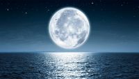 Zen-The Moon in a Dewdrop and Impermanence