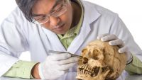 The Four Fields of Anthropology