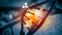 Nature, Nurture, and Human Behavior