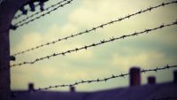 Theological Responses to the Nazi Holocaust