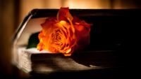 Philosophy's Death Greatly Exaggerated