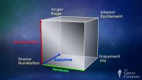 Emotions: Where Mind and Body Meet