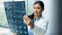 A Guided Tour of the Brain
