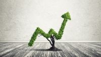 Fisher and Price: The Growth-Stock Investors