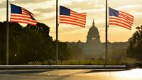 Why Have Government?