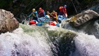 Think Again-Evaluating Risk in Purchasing