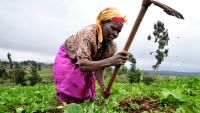 Africa's Geography and History
