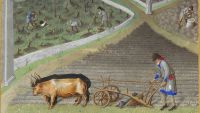 Manorial Society in Medieval Europe