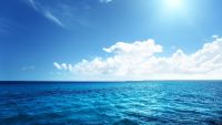 Your Competitive Advantage-Find the Blue Ocean