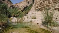 The Second Jewish Revolt against the Romans