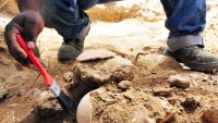 What and How Archaeology Reveals