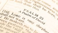 Interlude-Some Wisdom Psalms