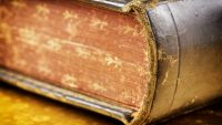 Interlude-Wisdom Psalms on Perseverance