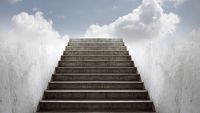 The Wisdom of Solomon on Death