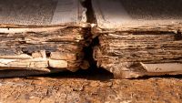 Biblical Manuscripts at Qumran
