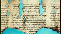 The Battle, the Kingdom, and Last Judgment