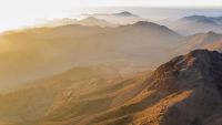 Freedom and Law at Mount Sinai